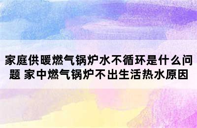 家庭供暖燃气锅炉水不循环是什么问题 家中燃气锅炉不出生活热水原因